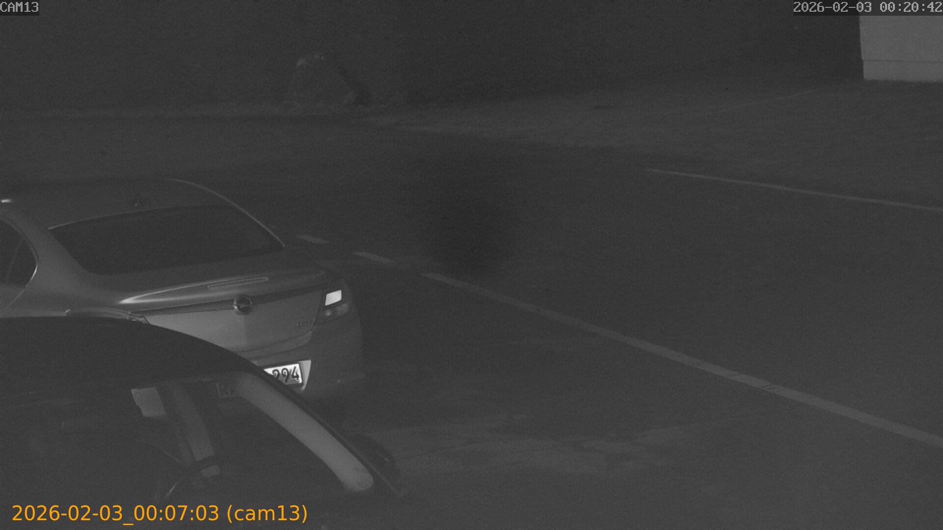 thumbnail_20260203000703