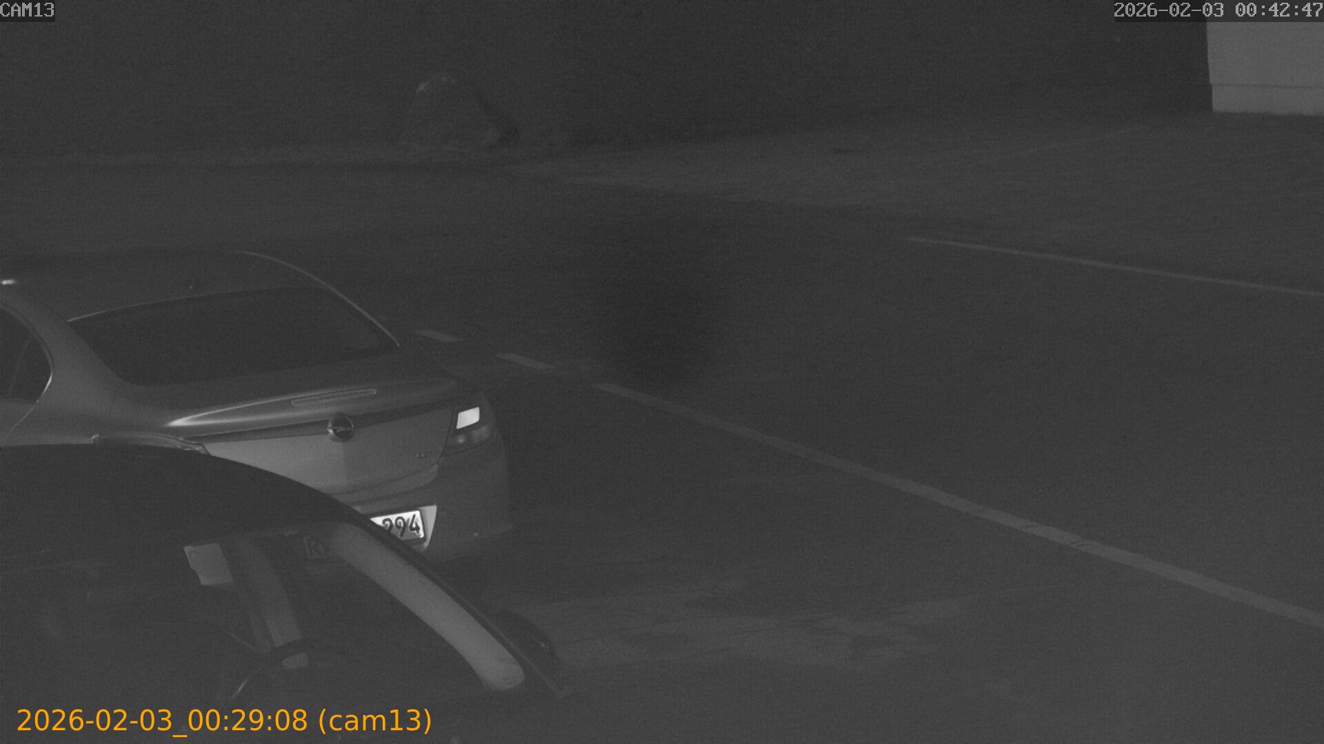 thumbnail_20260203002908