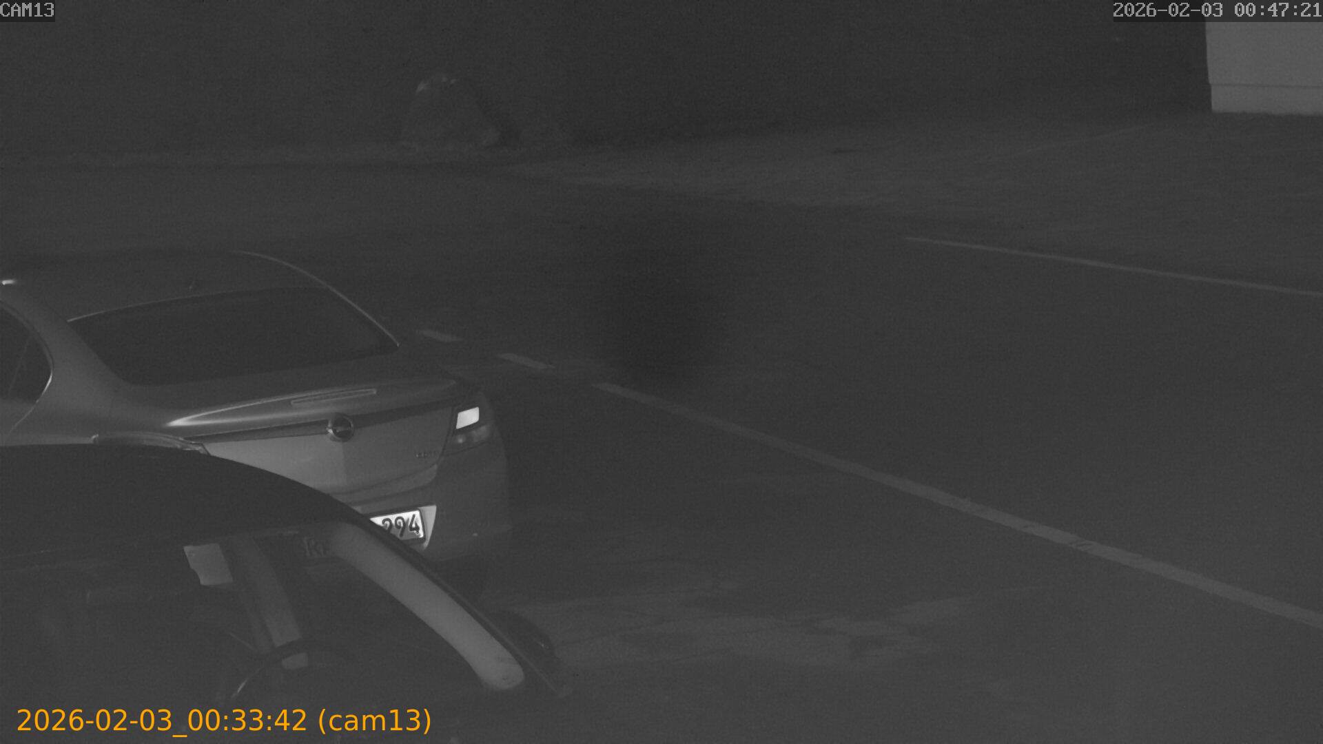 thumbnail_20260203003342