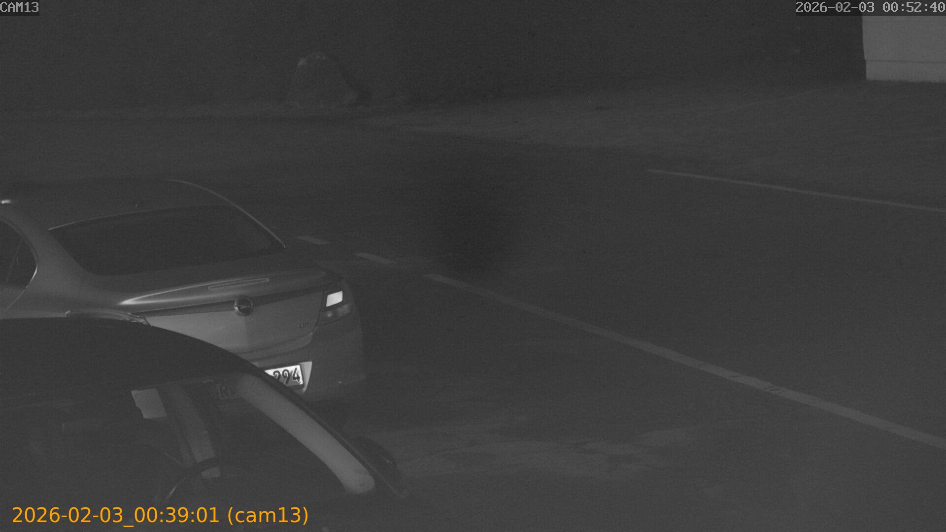 thumbnail_20260203003901