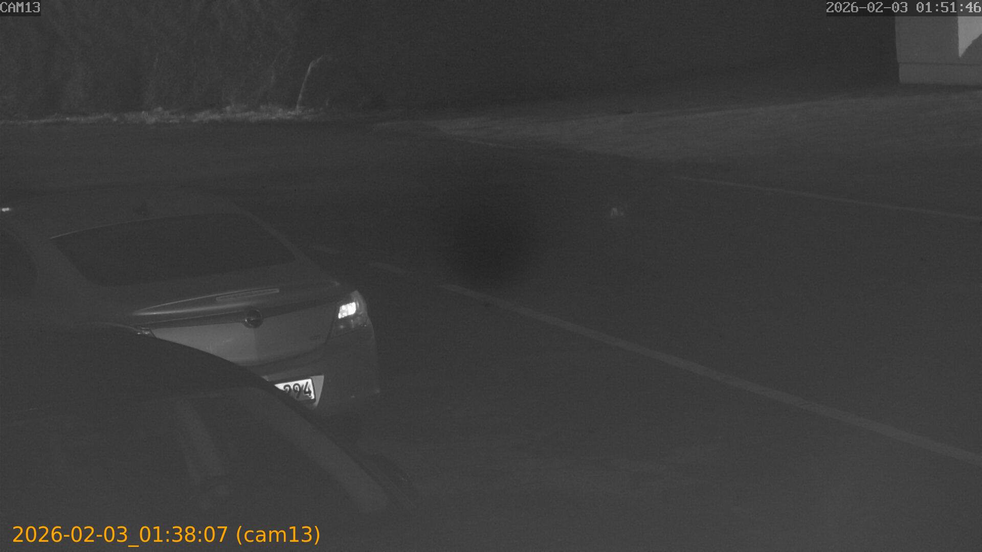 thumbnail_20260203013807