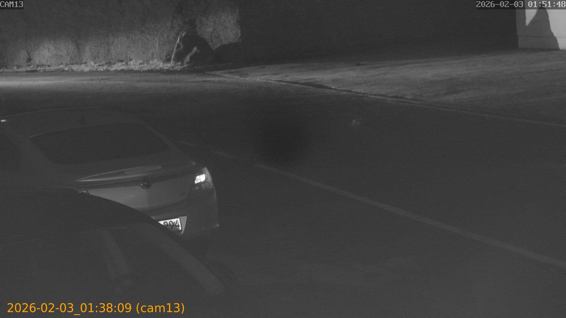 thumbnail_20260203013809