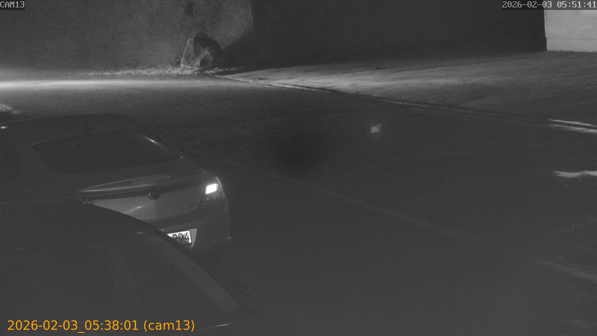 thumbnail_20260203053801