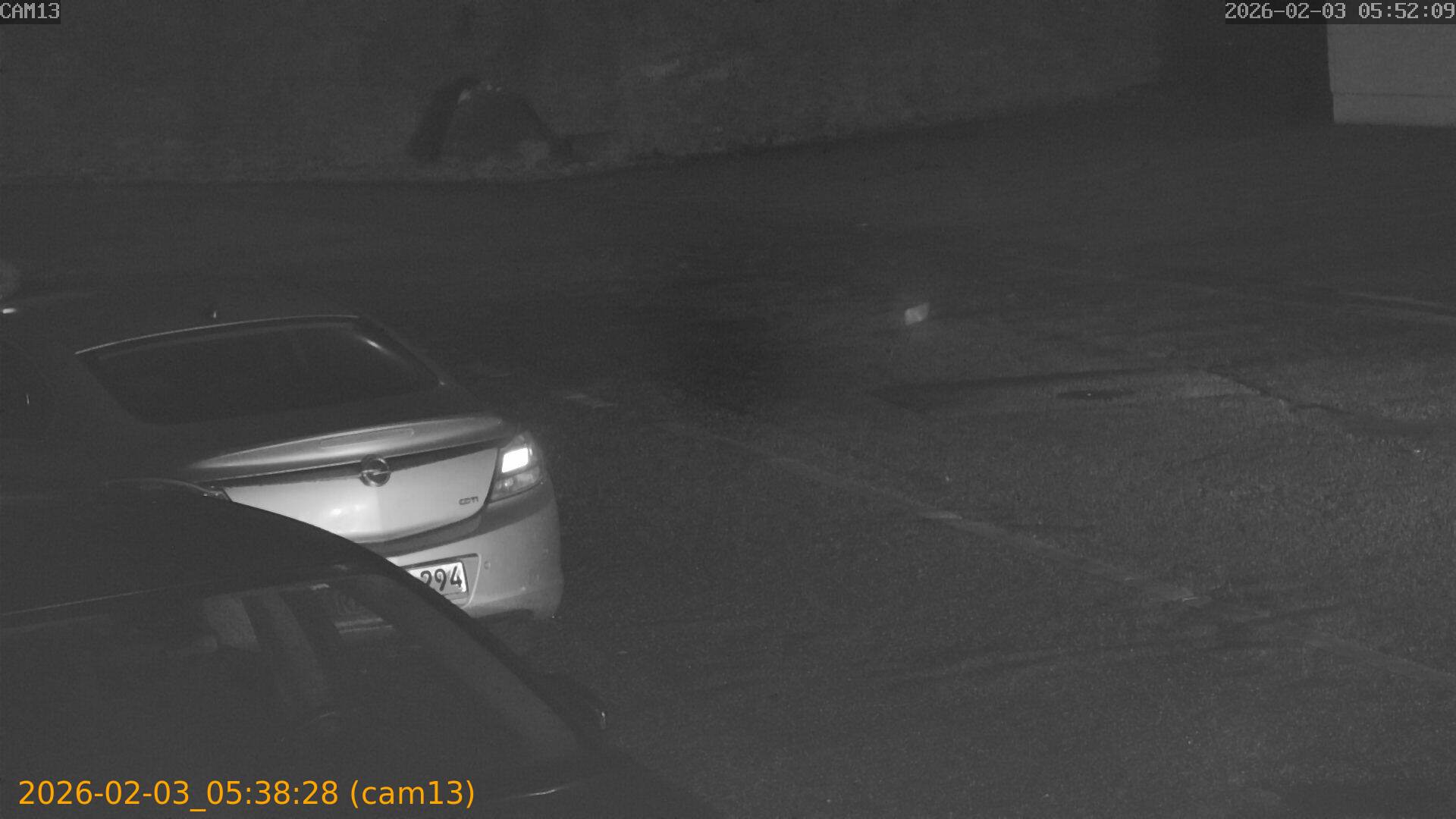 thumbnail_20260203053828