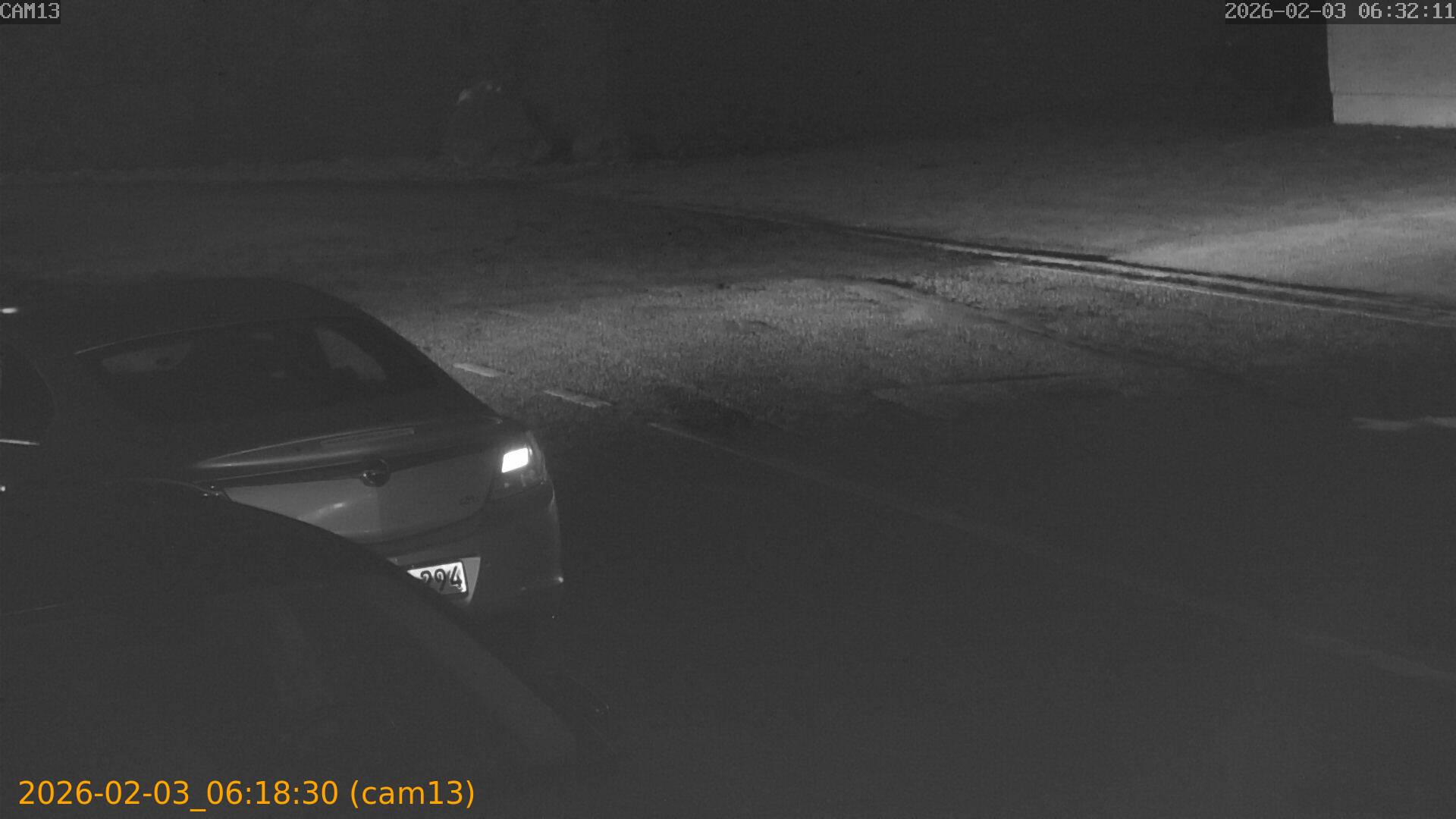 thumbnail_20260203061830