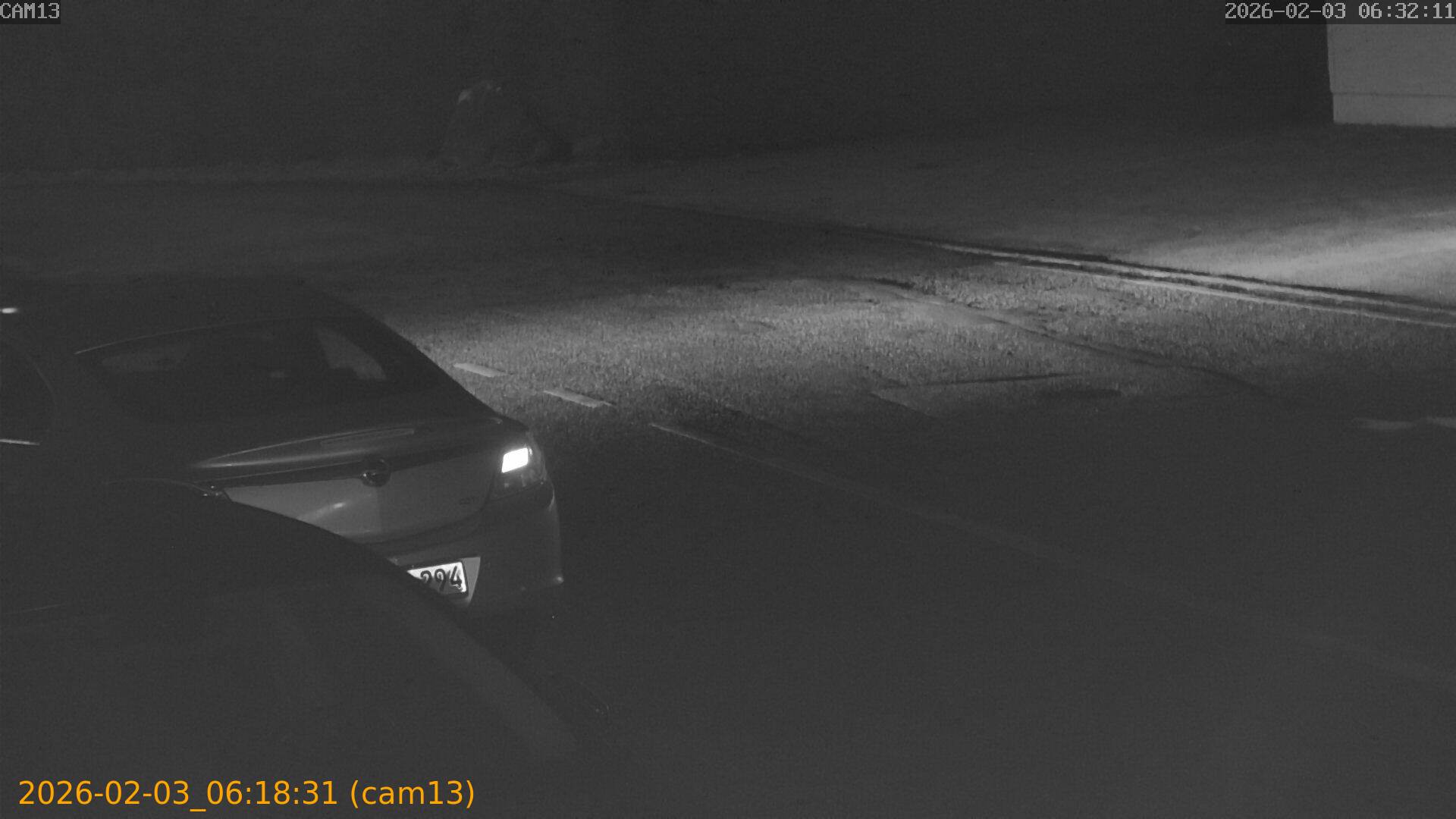 thumbnail_20260203061831