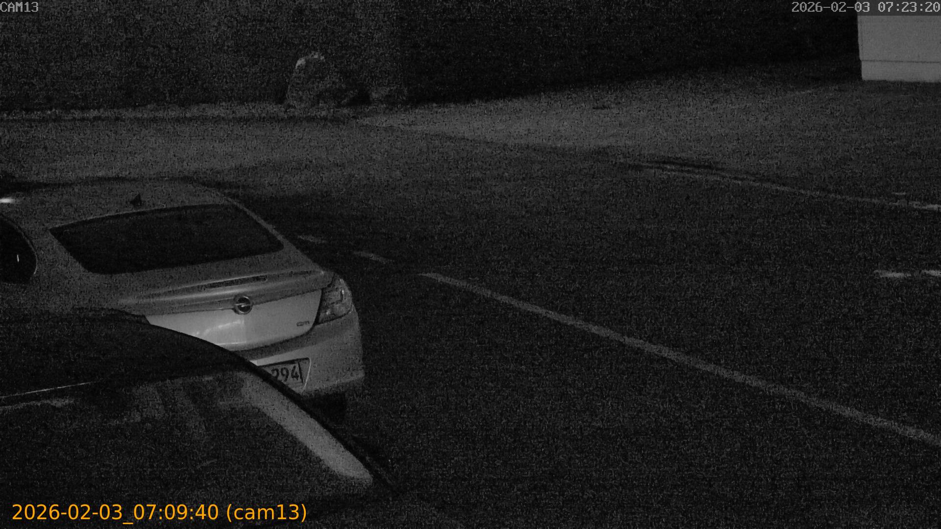 thumbnail_20260203070939