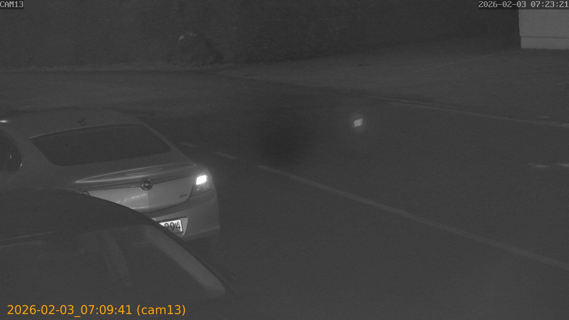 thumbnail_20260203070941