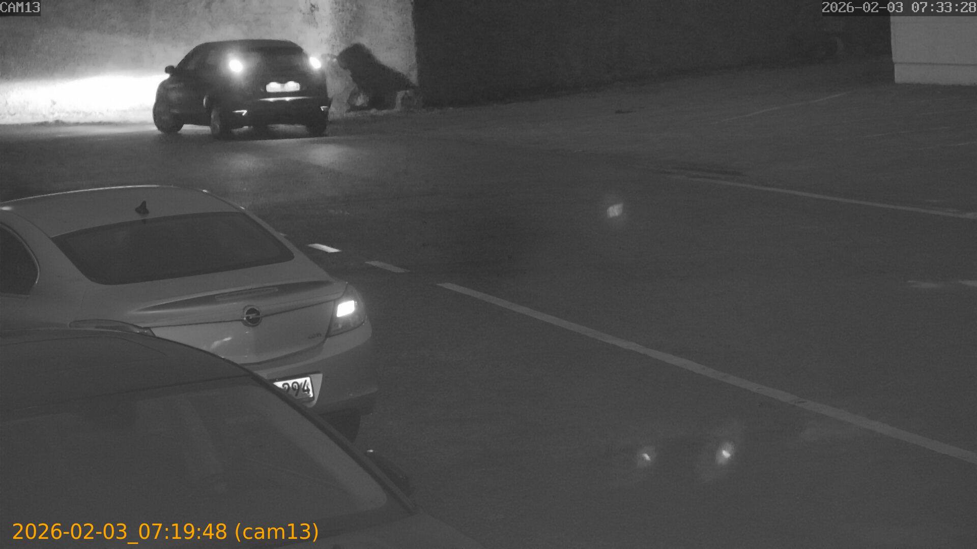 thumbnail_20260203071948