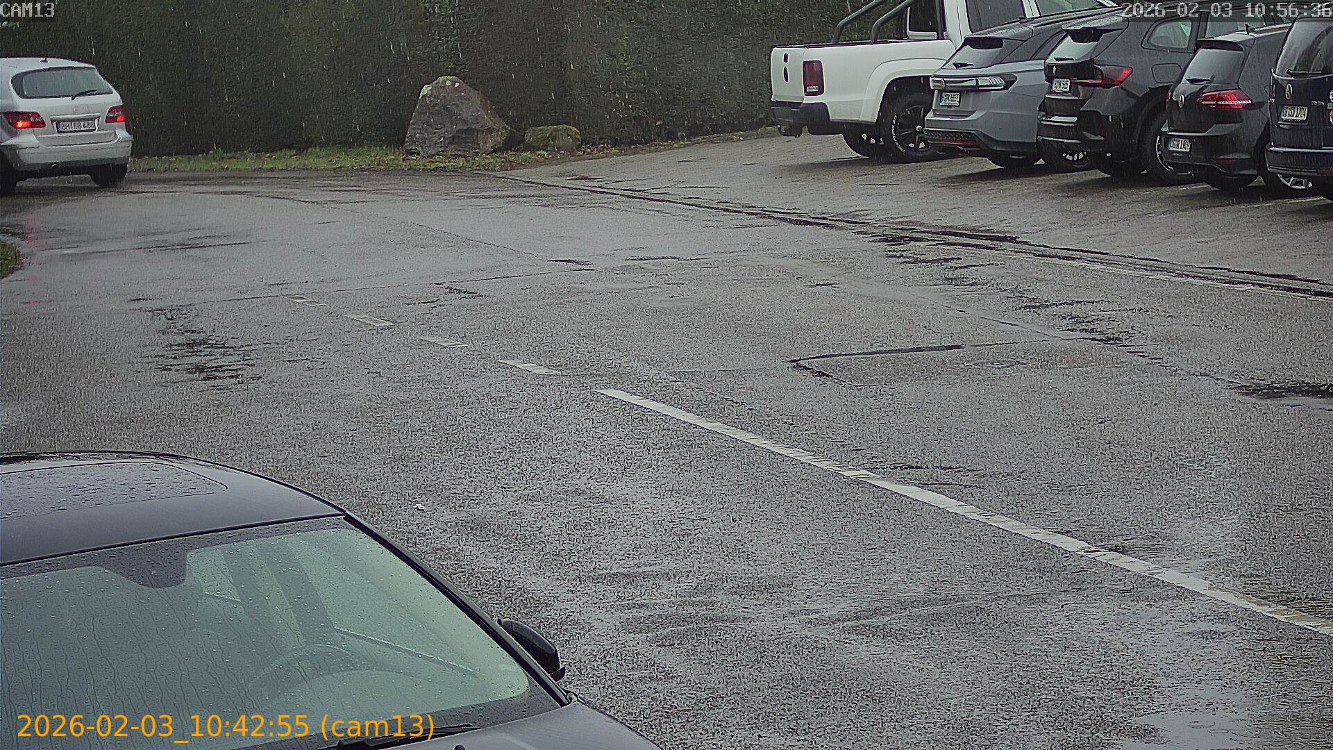 thumbnail_20260203104255