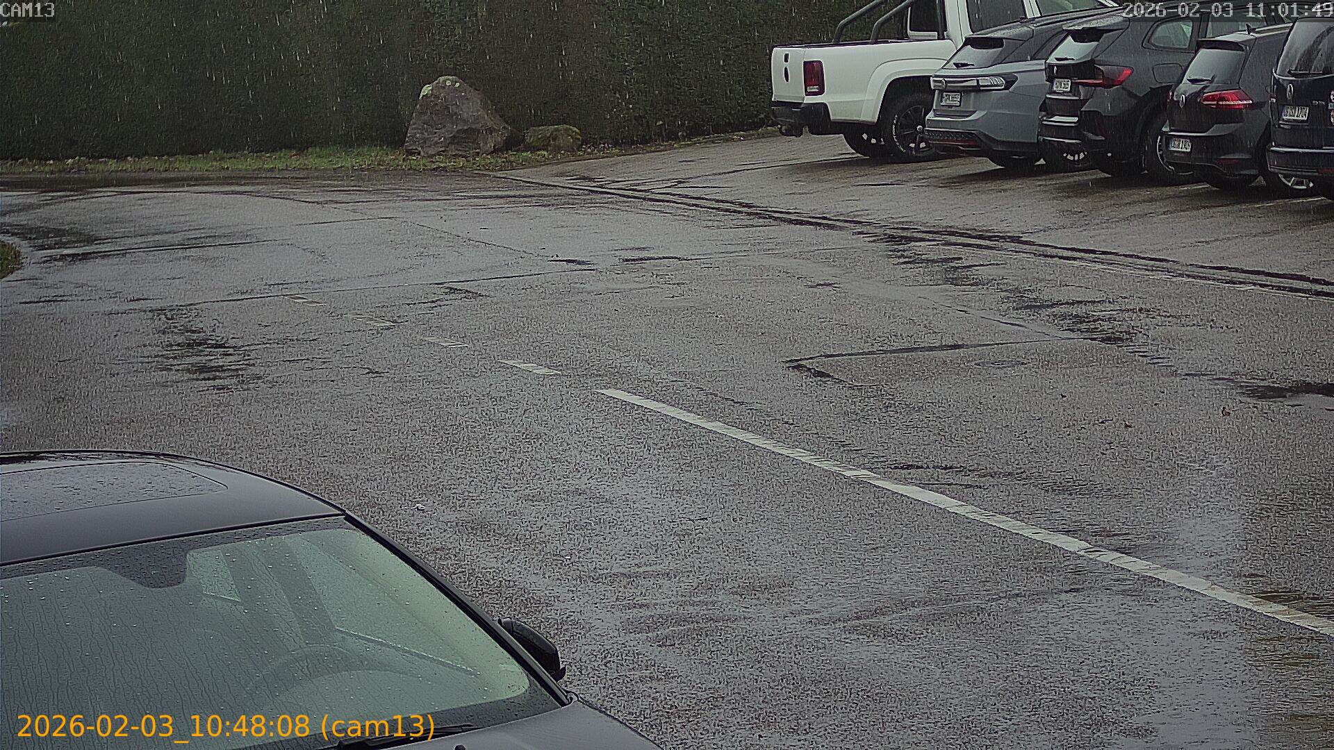 thumbnail_20260203104808