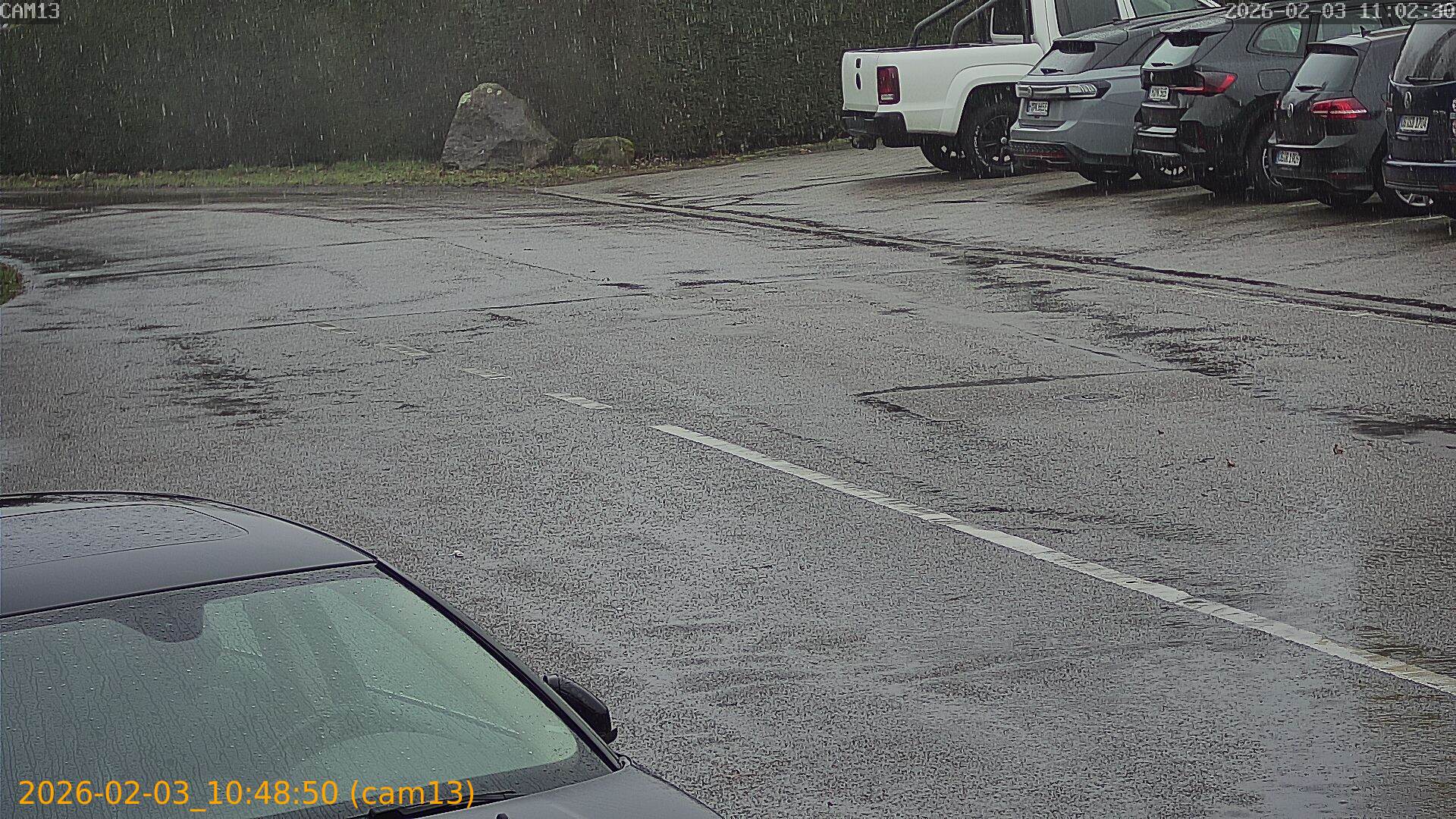 thumbnail_20260203104850