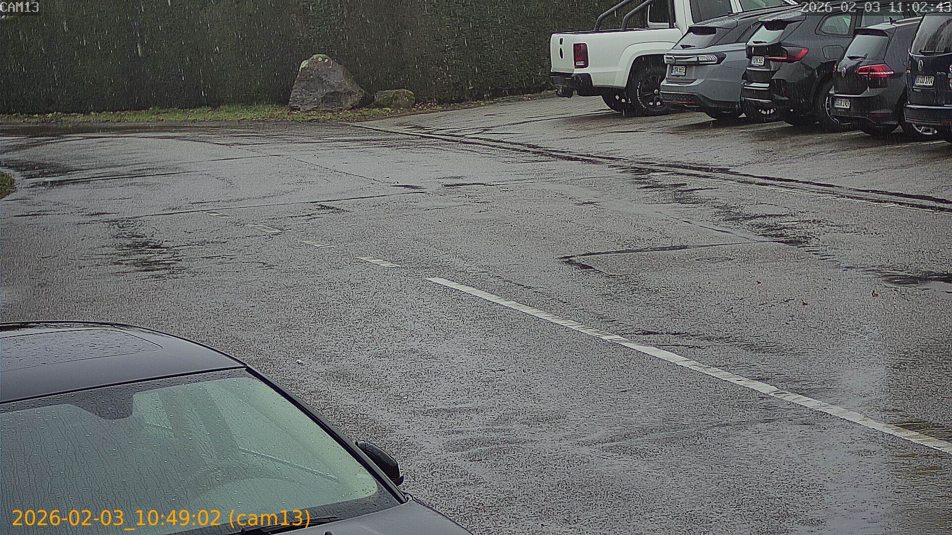 thumbnail_20260203104902