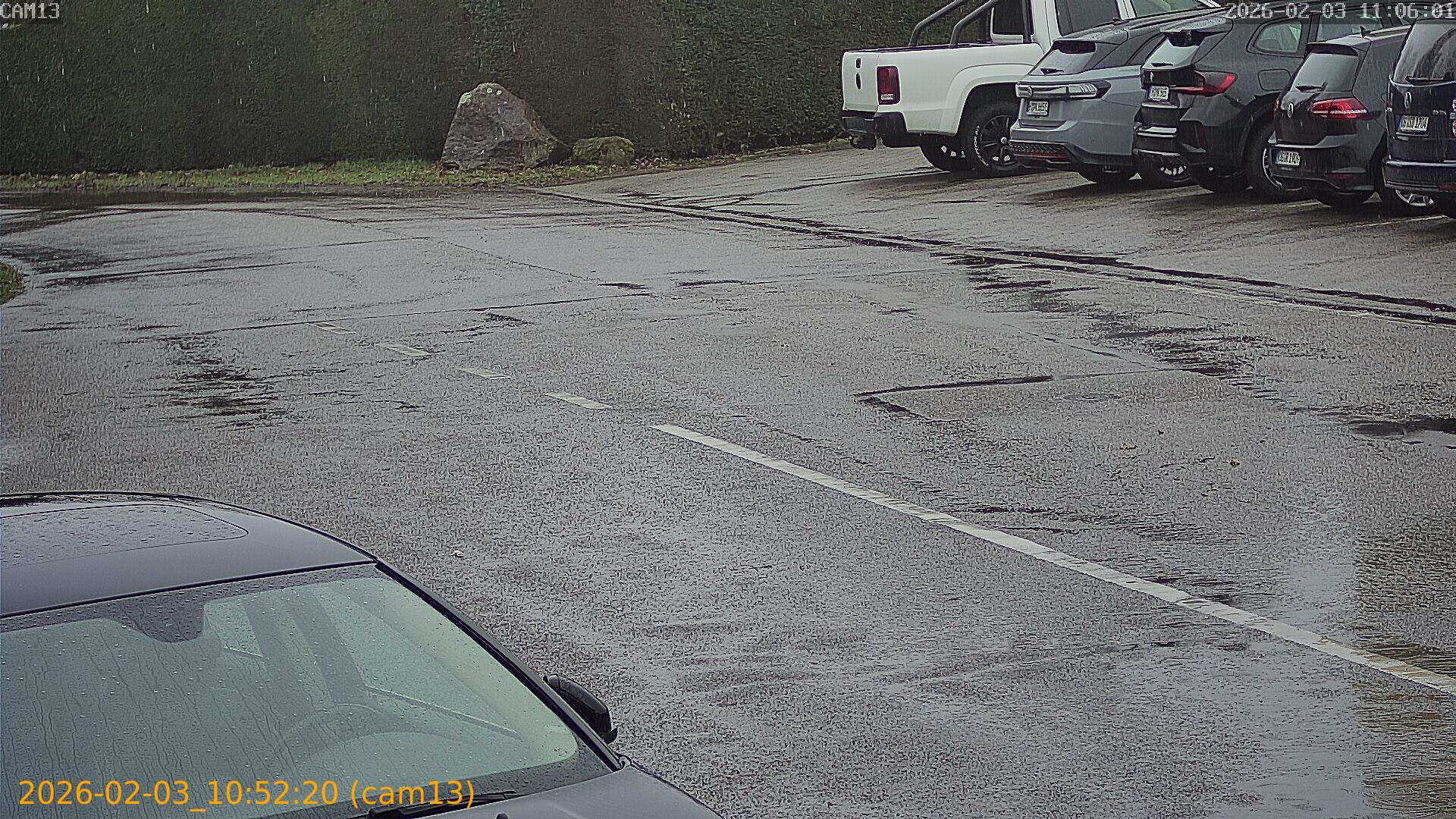 thumbnail_20260203105220