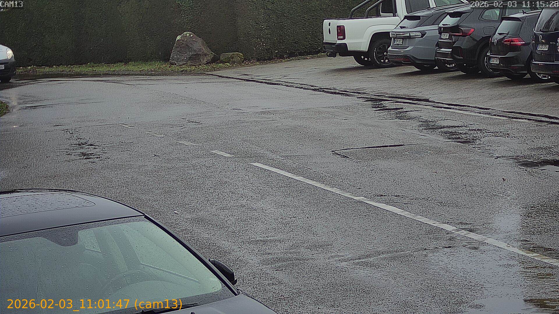 thumbnail_20260203110147