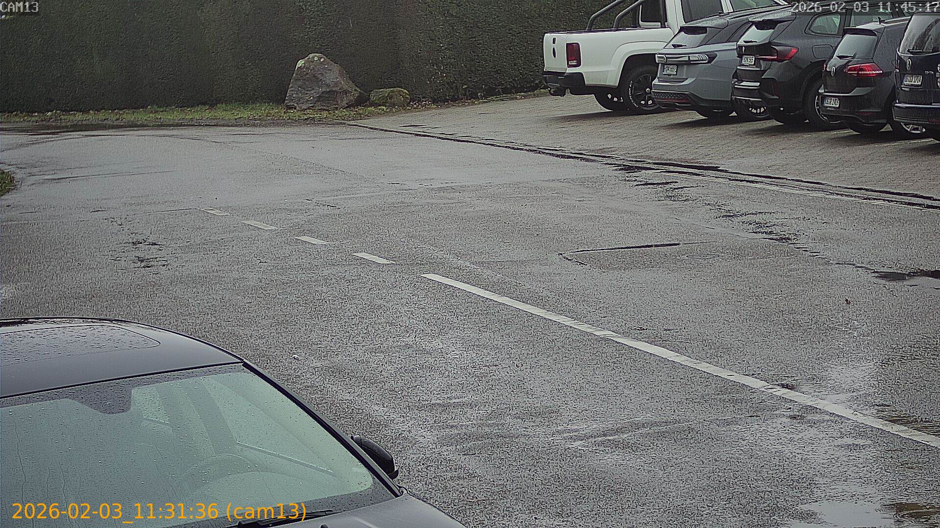 thumbnail_20260203113136