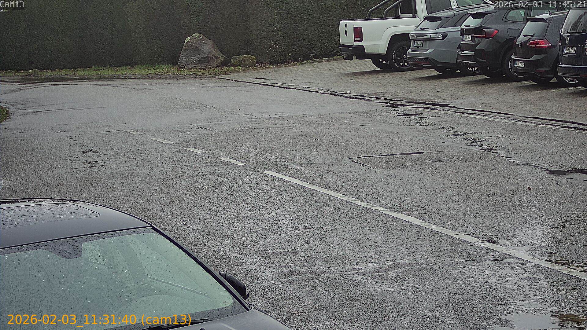 thumbnail_20260203113140