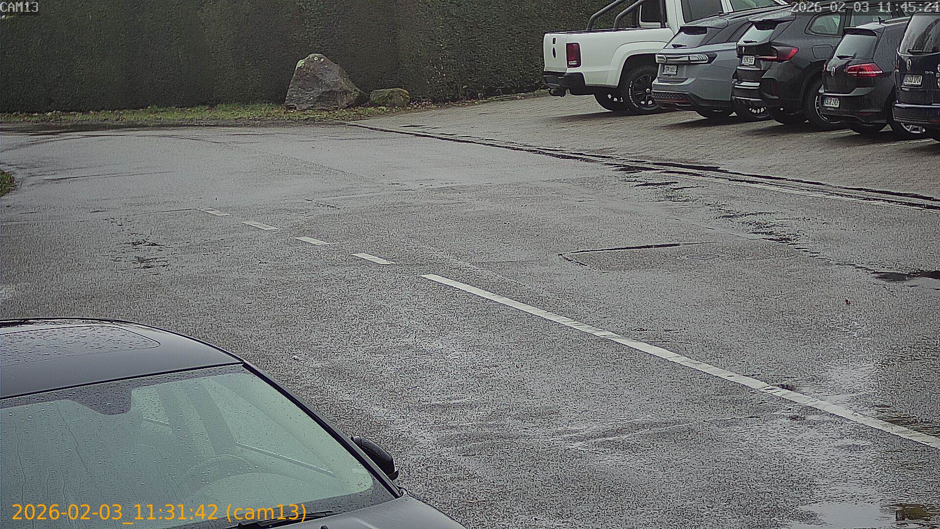 thumbnail_20260203113142