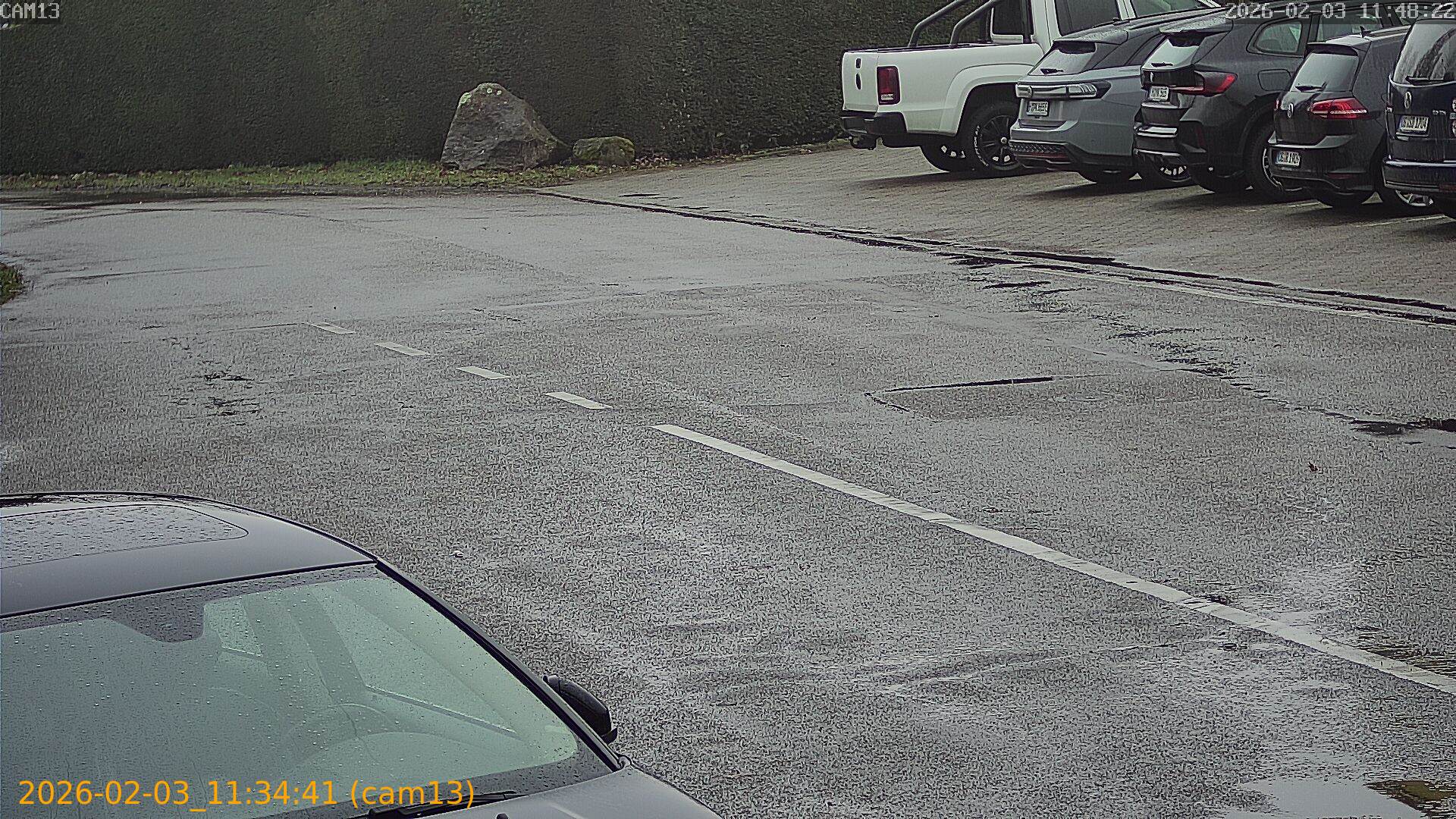 thumbnail_20260203113441