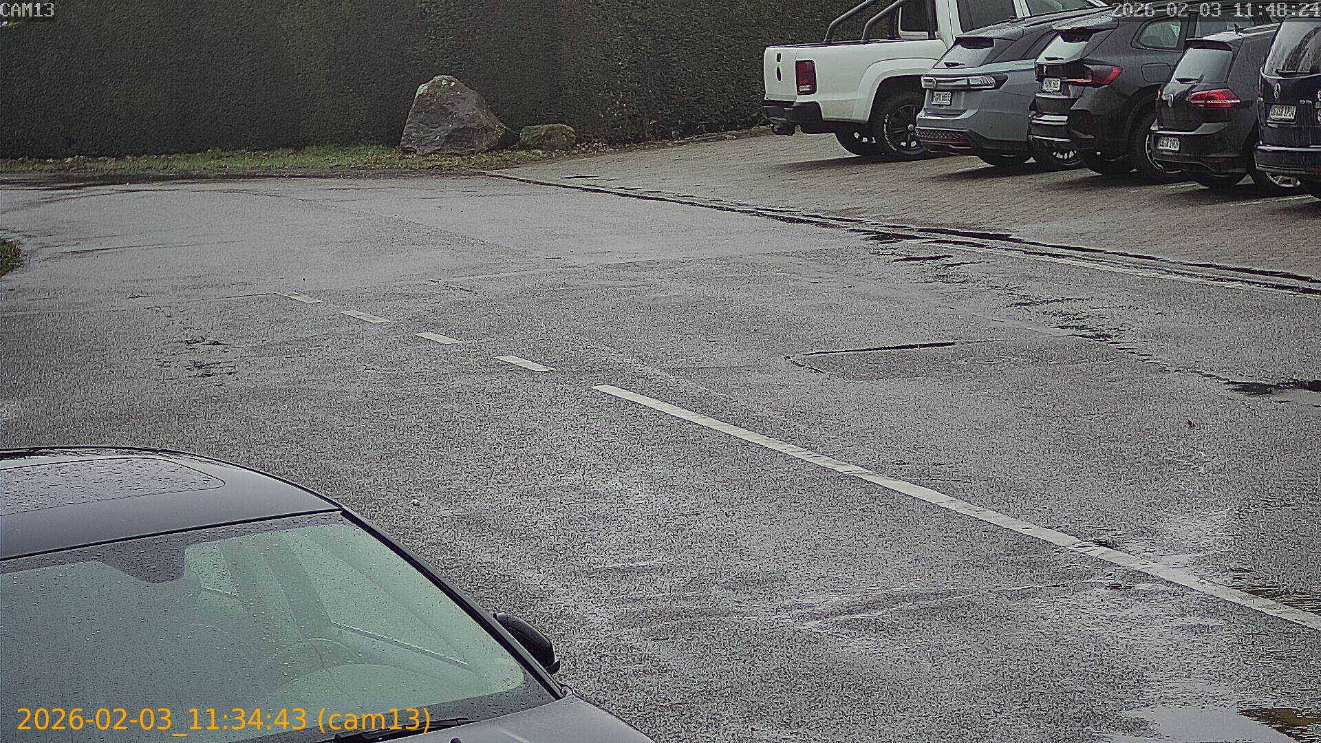 thumbnail_20260203113443