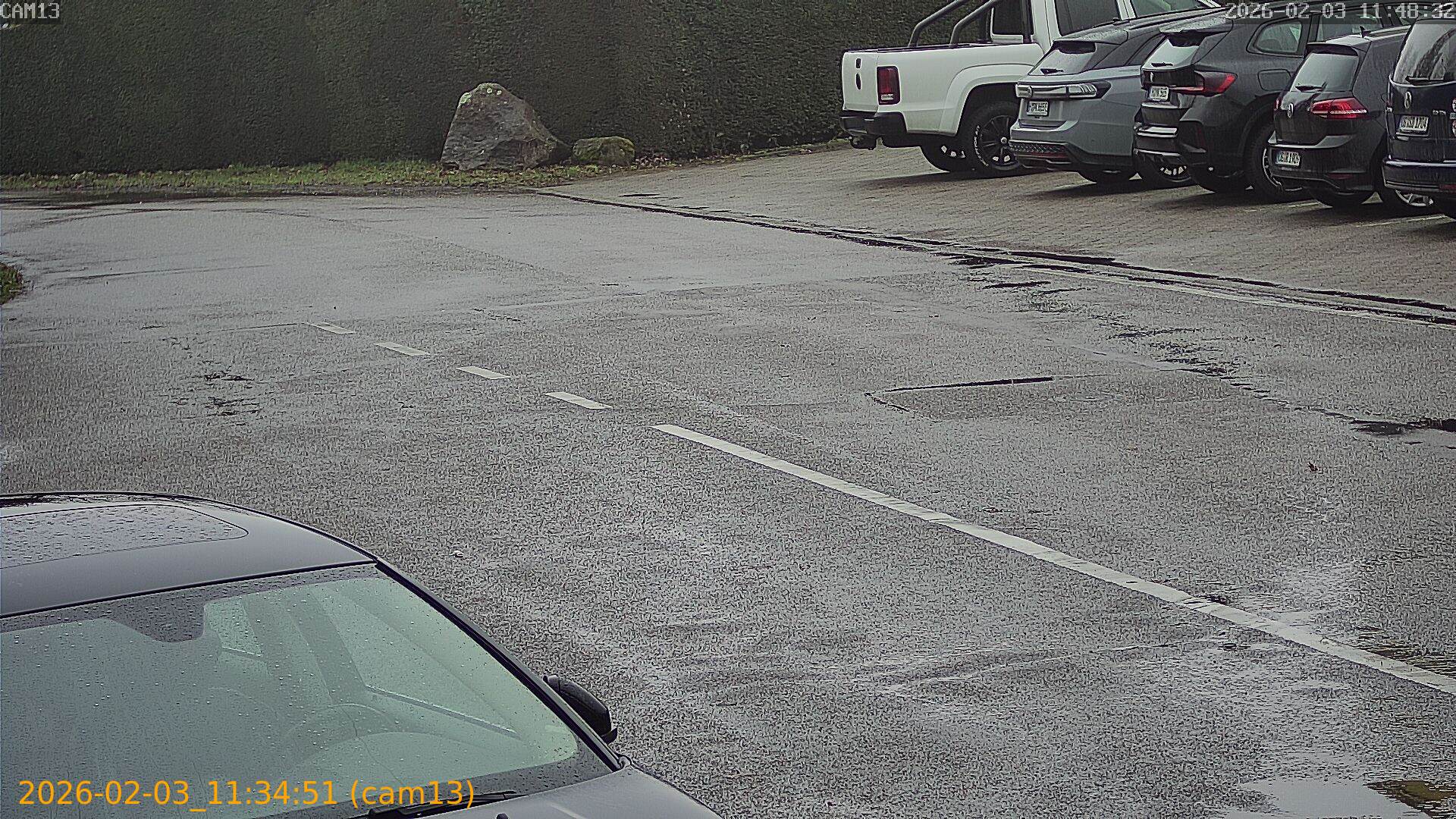 thumbnail_20260203113451