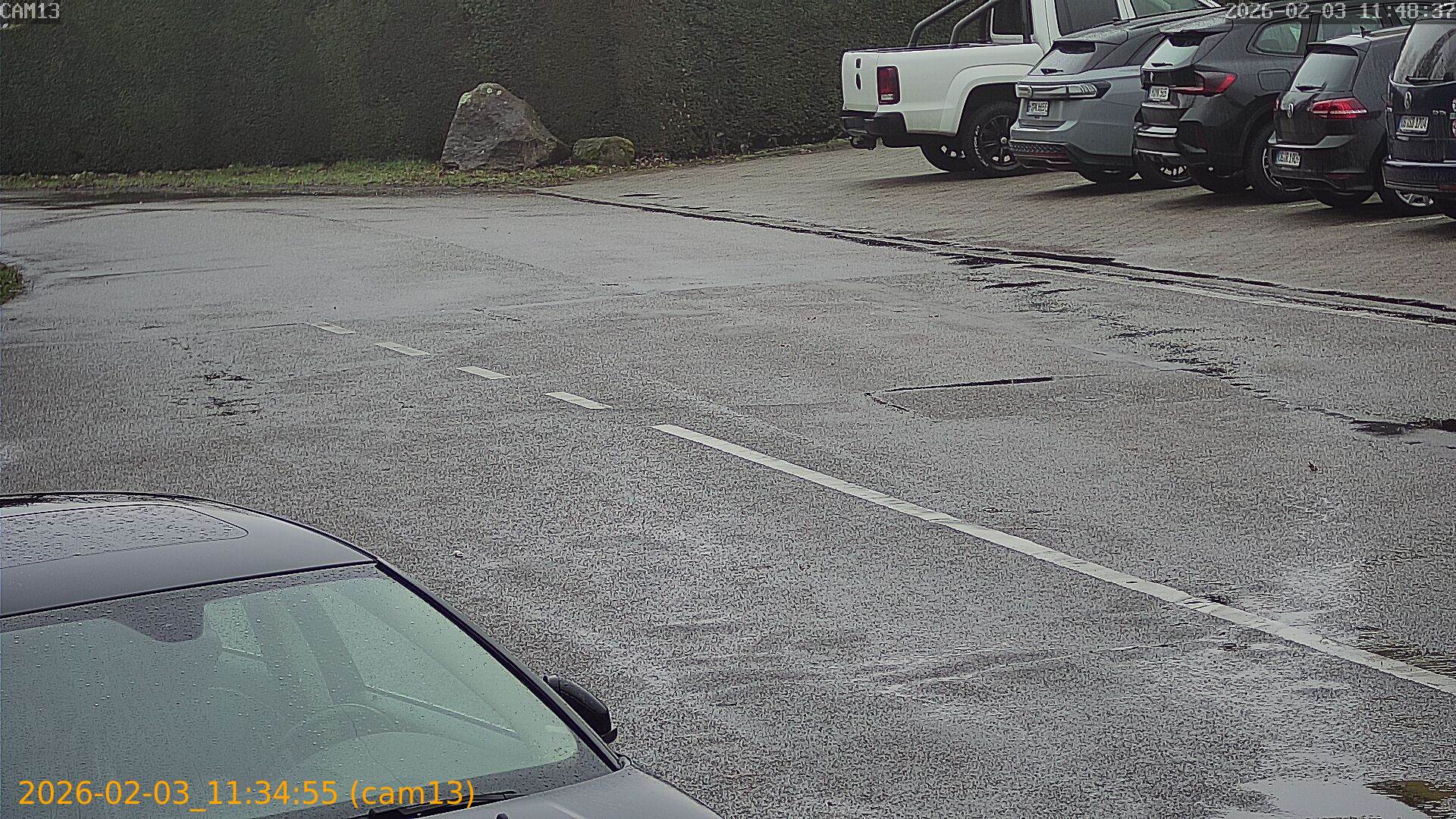 thumbnail_20260203113455