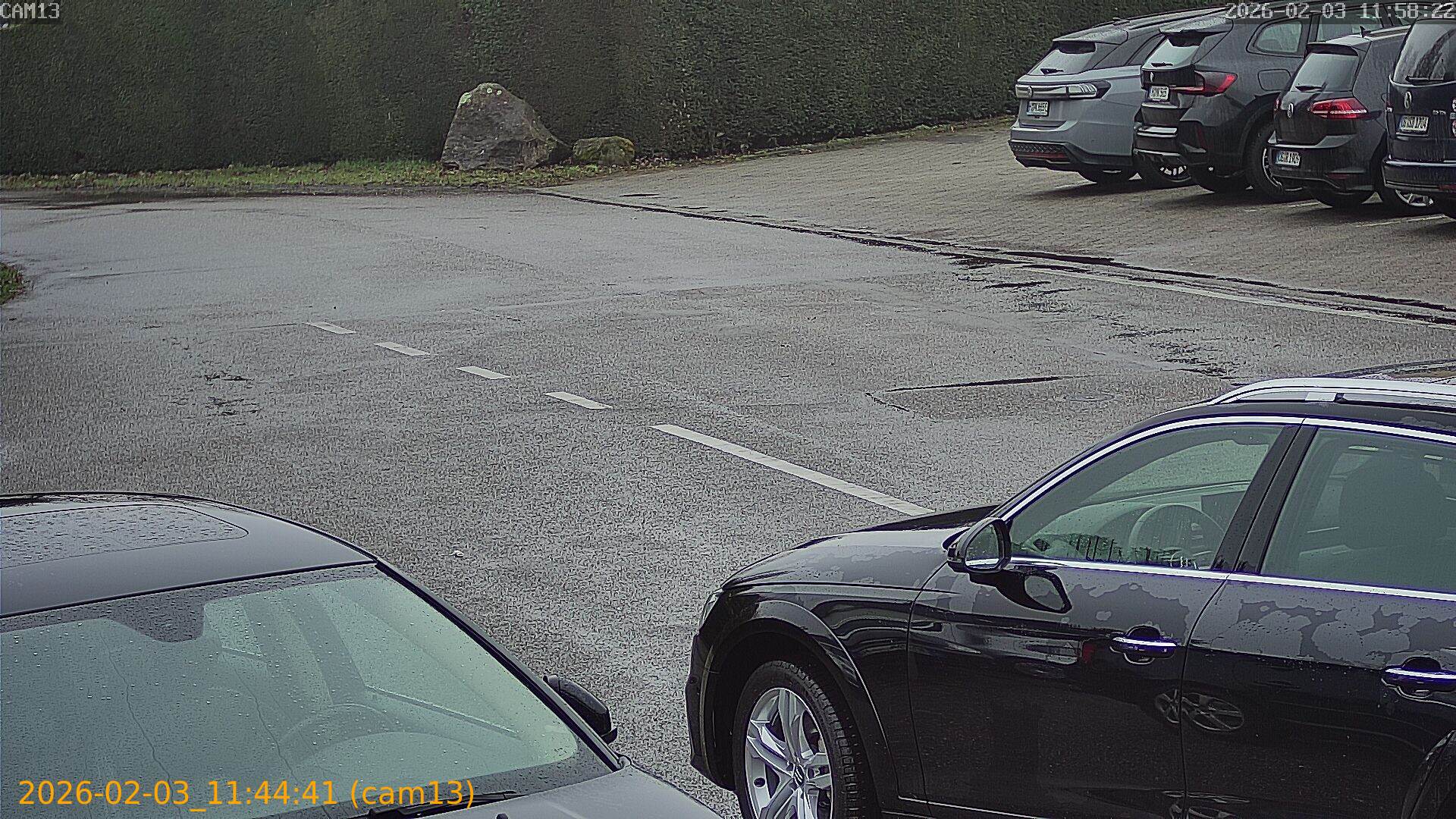 thumbnail_20260203114441