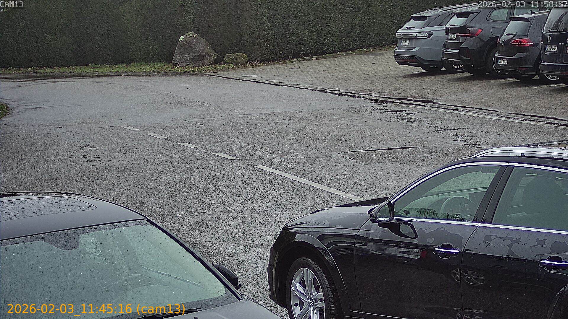 thumbnail_20260203114516