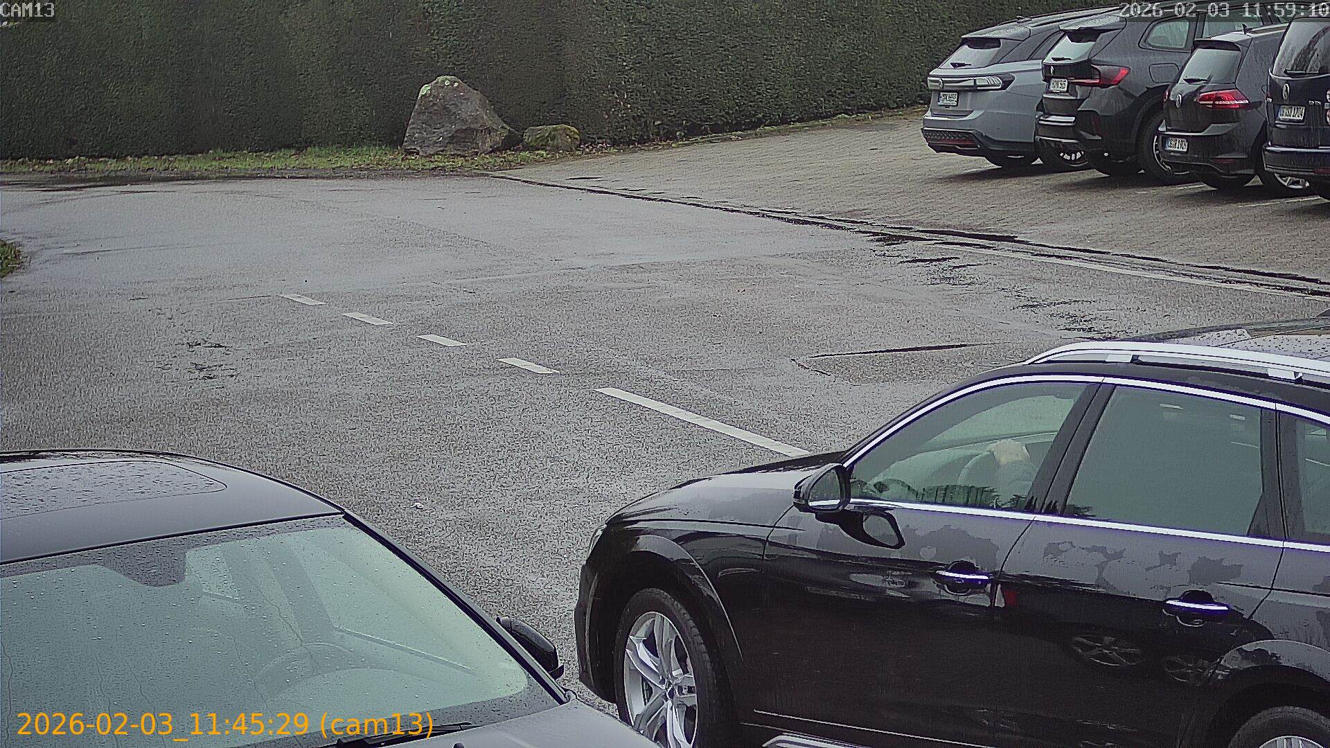 thumbnail_20260203114529