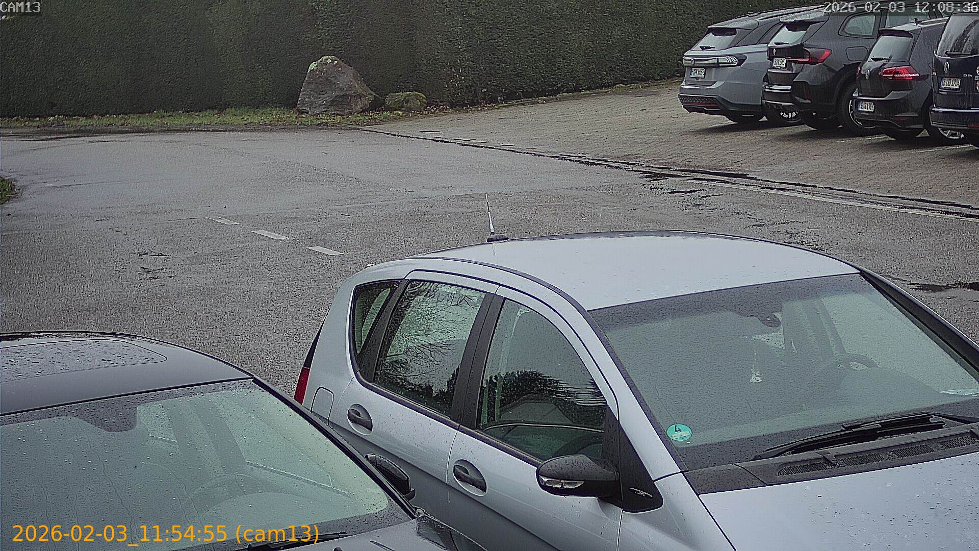 thumbnail_20260203115455