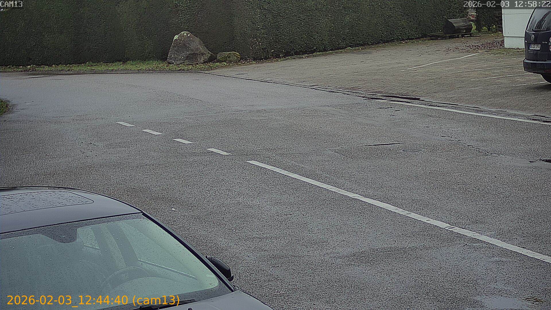 thumbnail_20260203124440