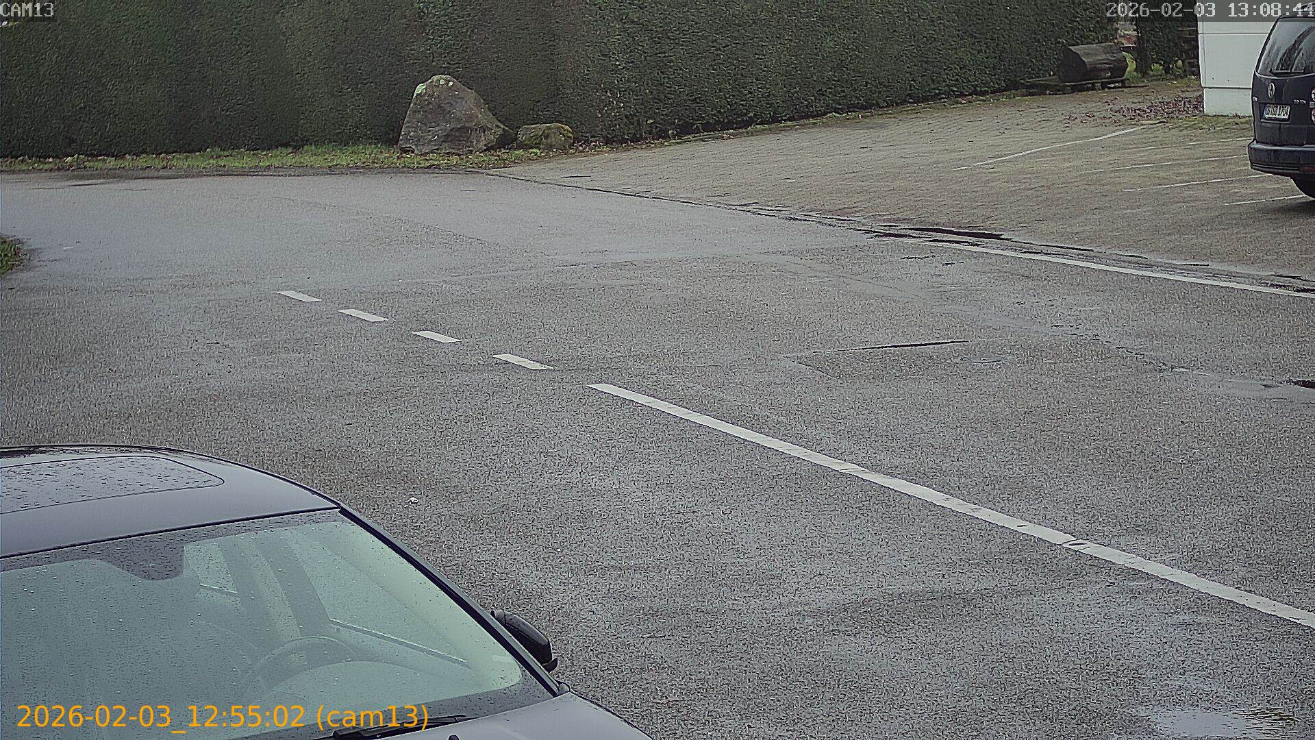 thumbnail_20260203125502