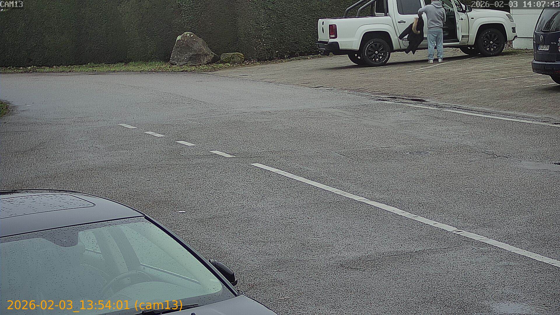 thumbnail_20260203135401