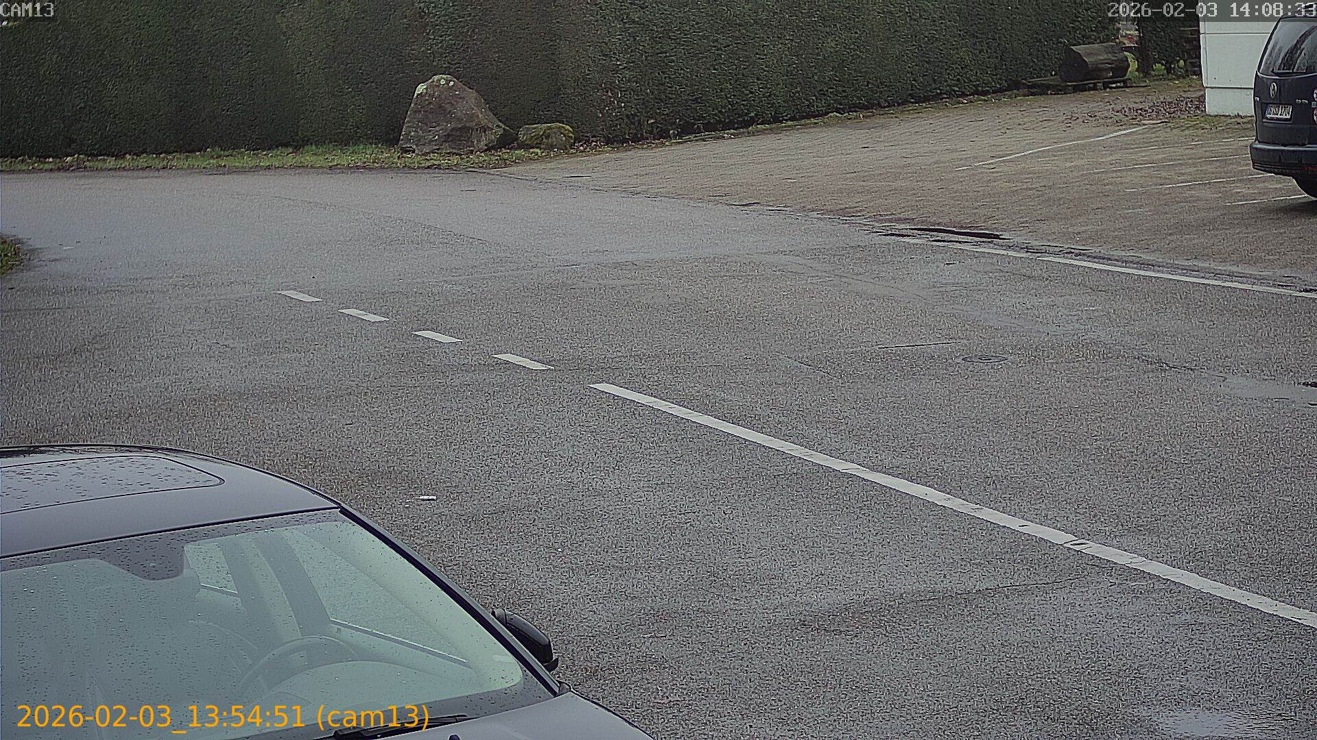 thumbnail_20260203135451