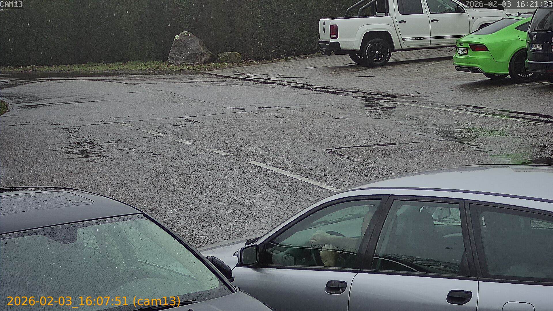 thumbnail_20260203160751