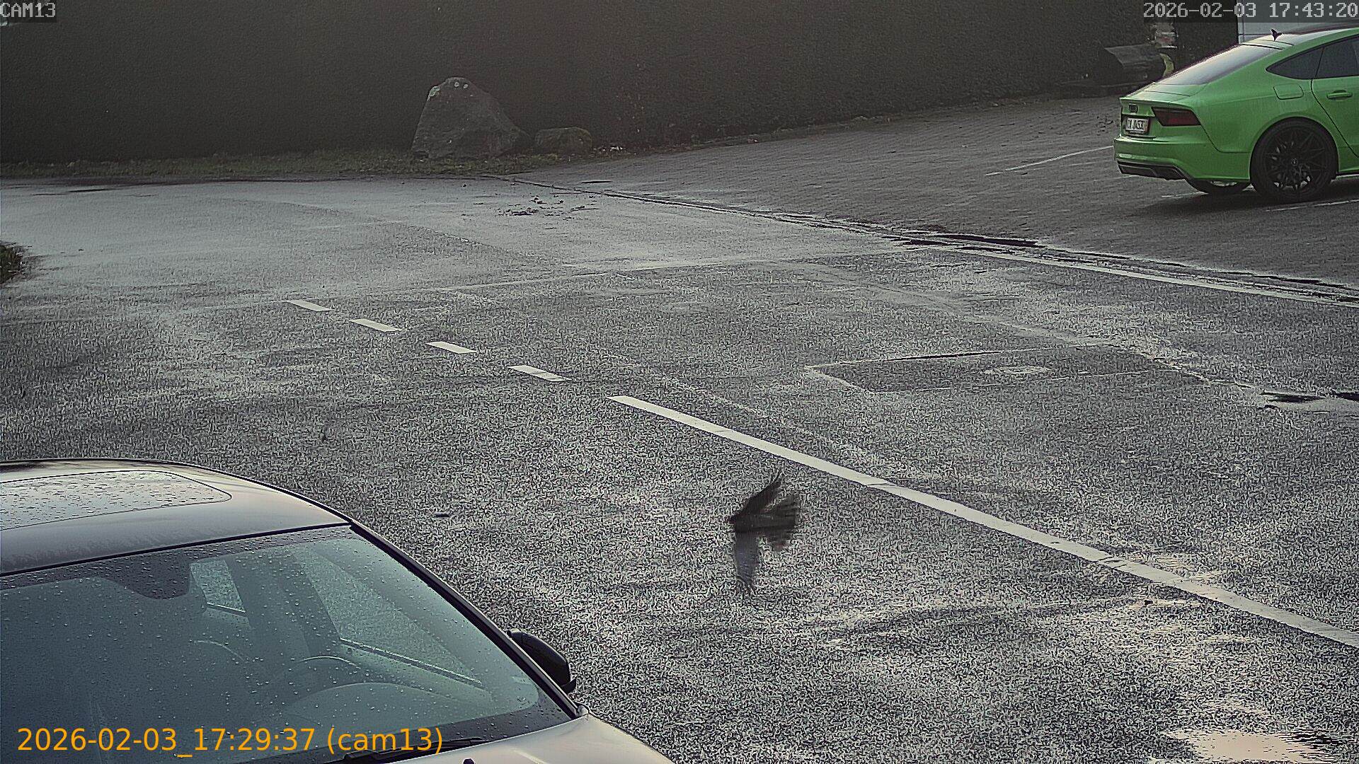 thumbnail_20260203172937