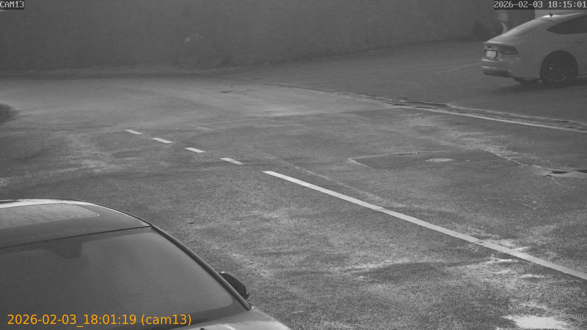 thumbnail_20260203180119