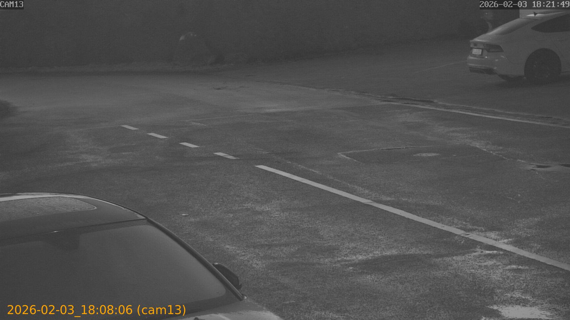 thumbnail_20260203180806