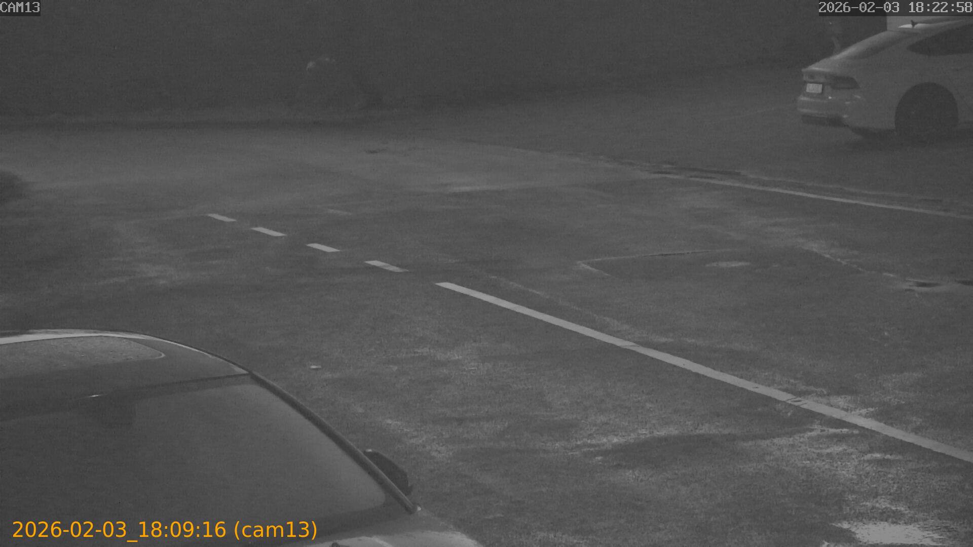 thumbnail_20260203180916