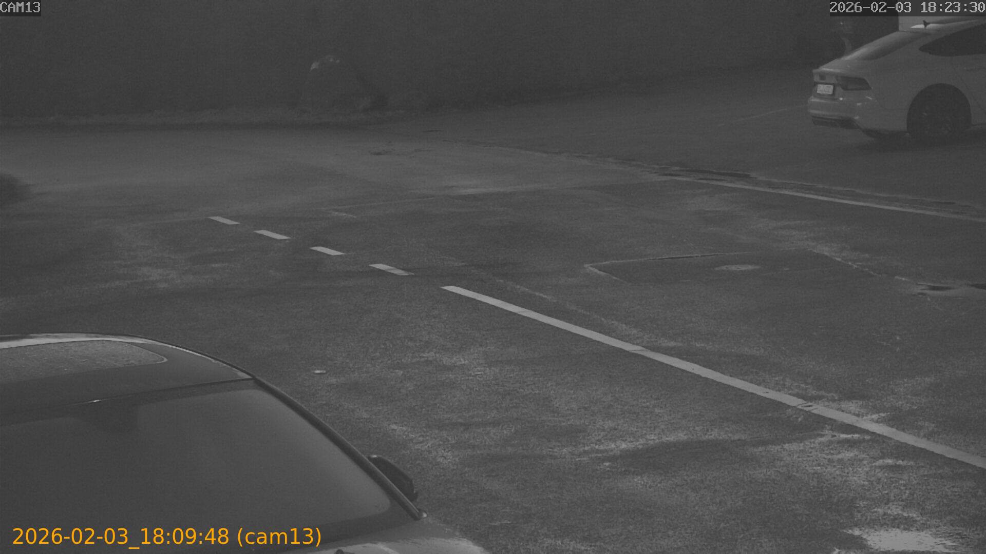 thumbnail_20260203180948