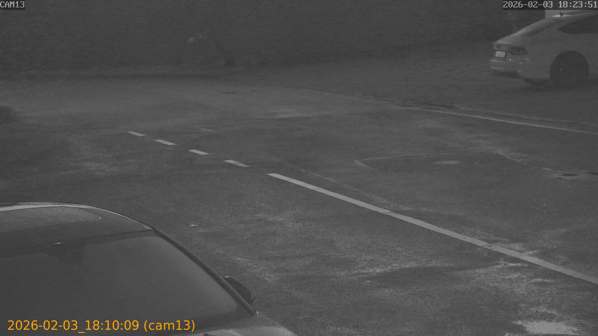 thumbnail_20260203181009