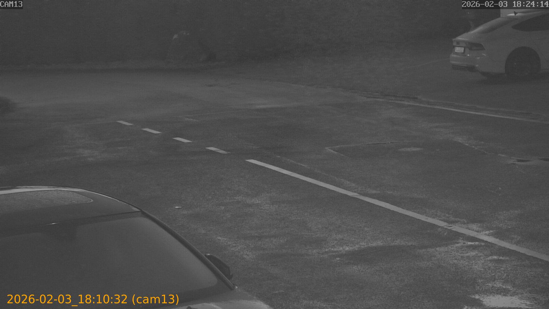 thumbnail_20260203181032