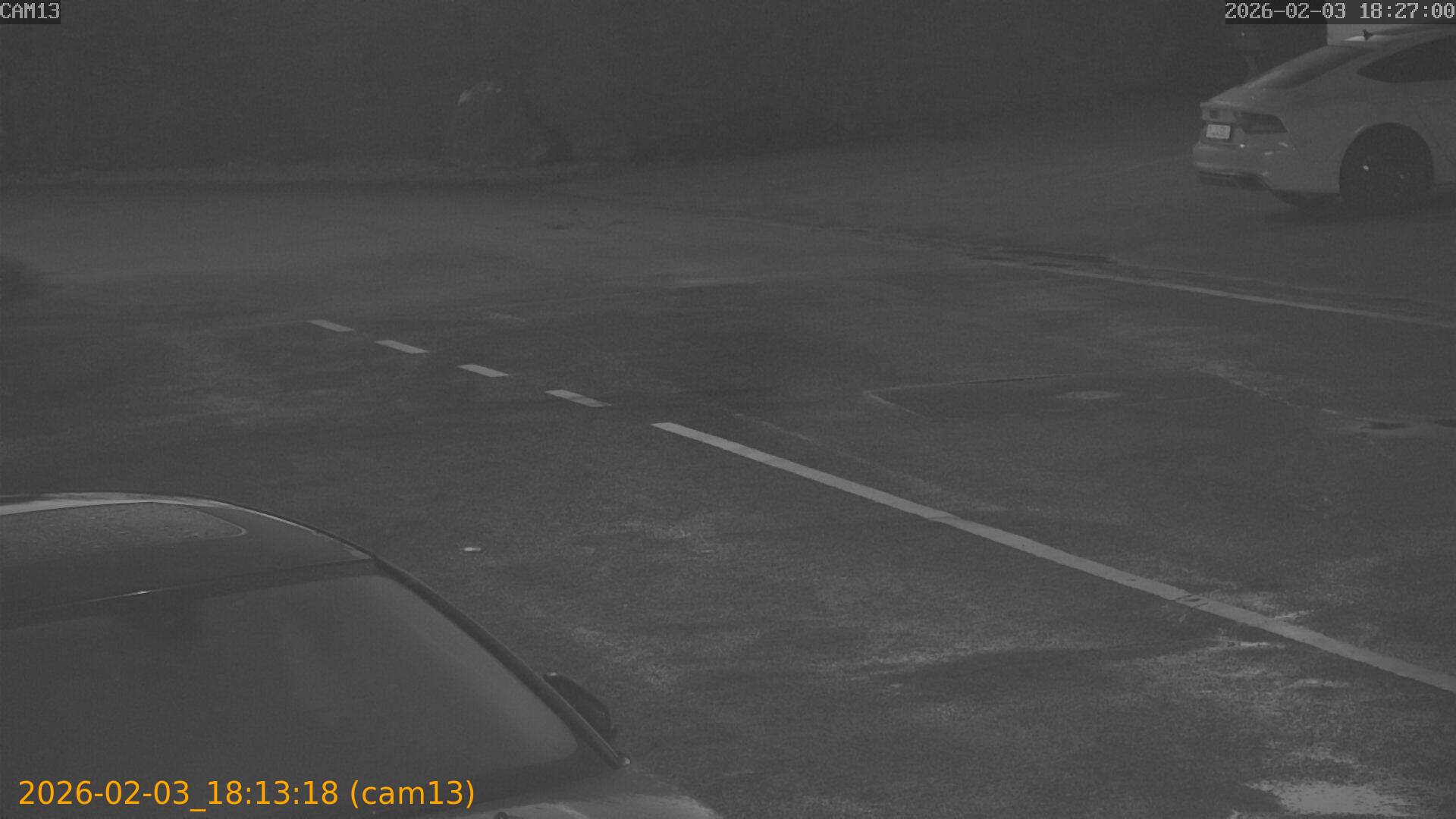 thumbnail_20260203181318