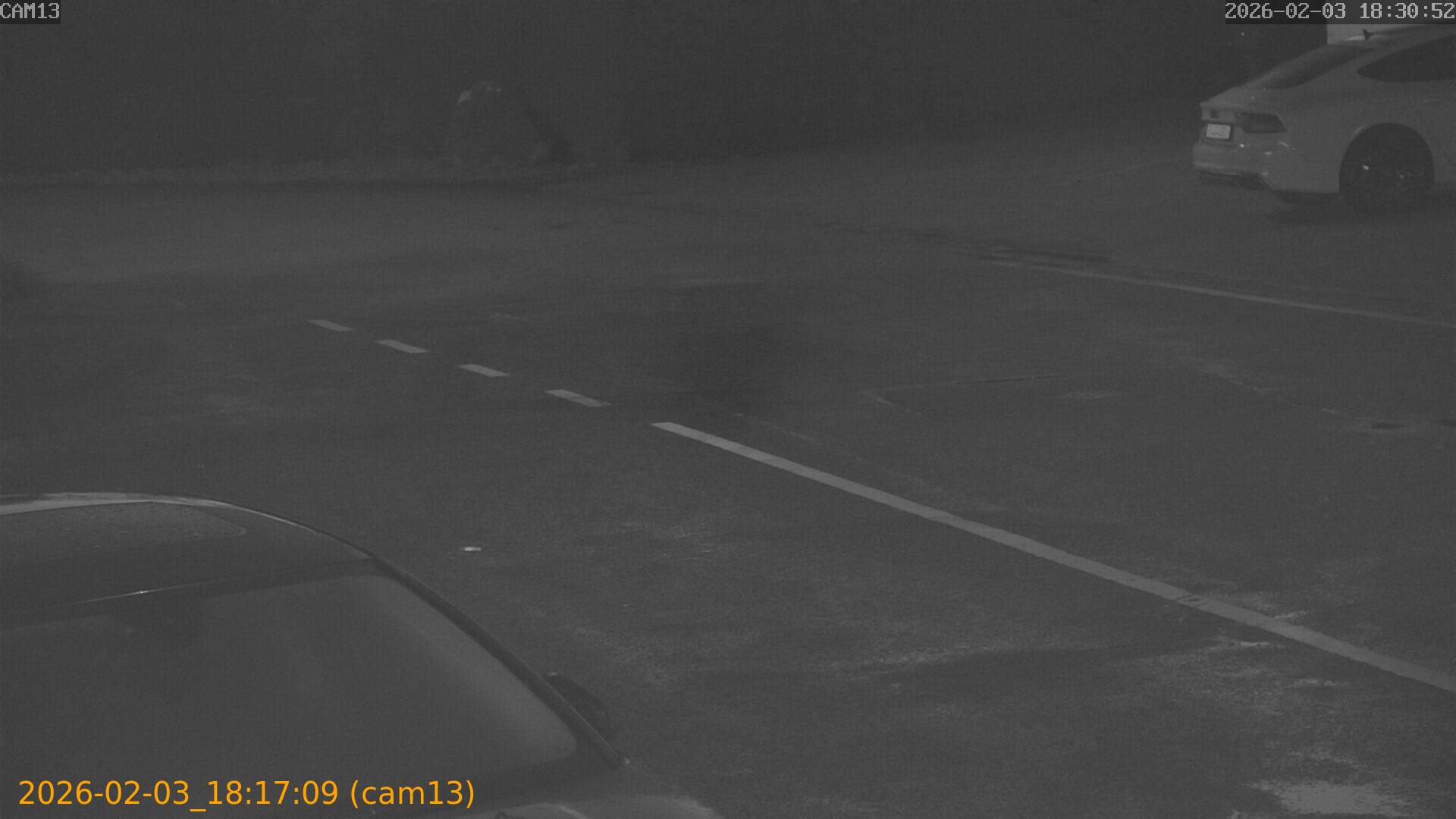 thumbnail_20260203181709