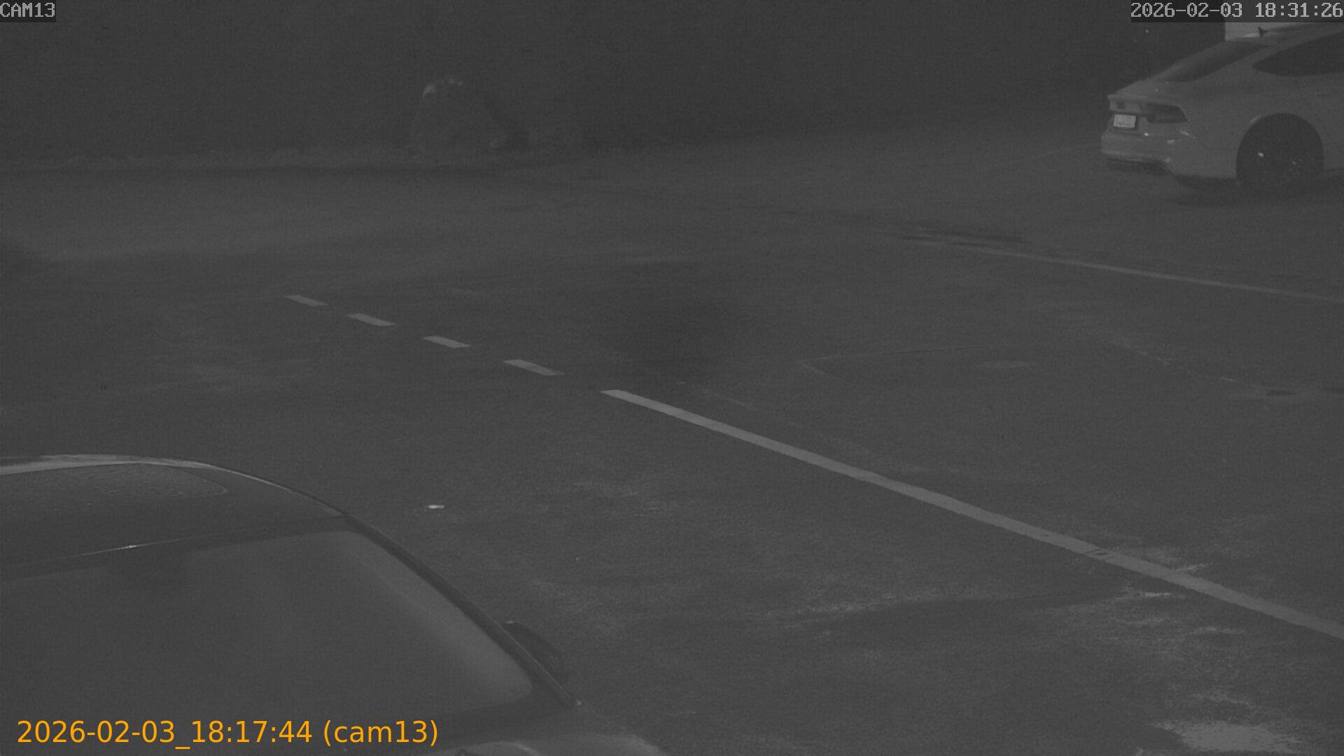 thumbnail_20260203181744