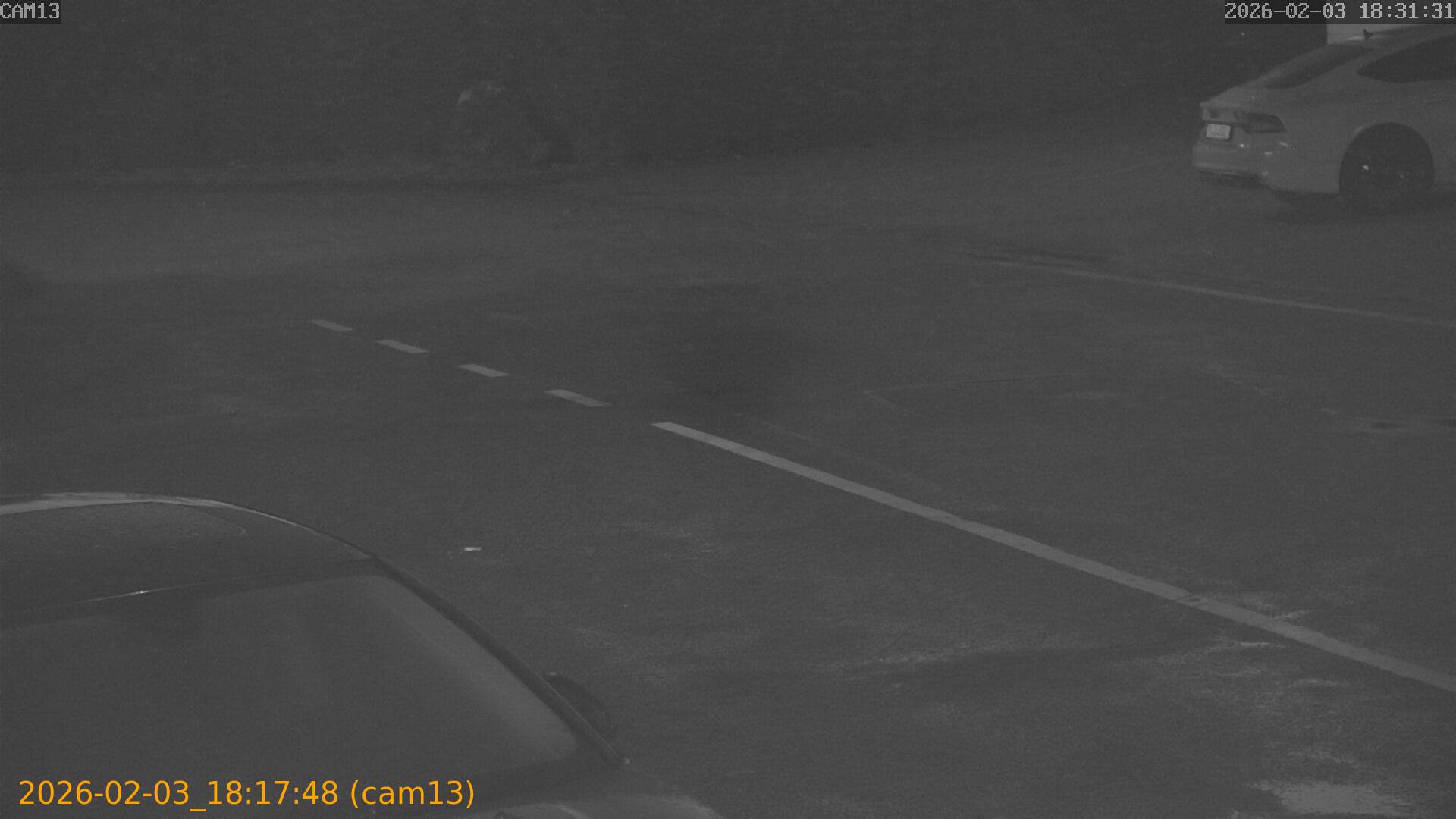 thumbnail_20260203181748