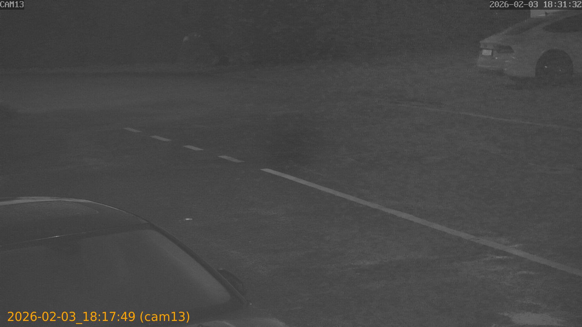 thumbnail_20260203181749