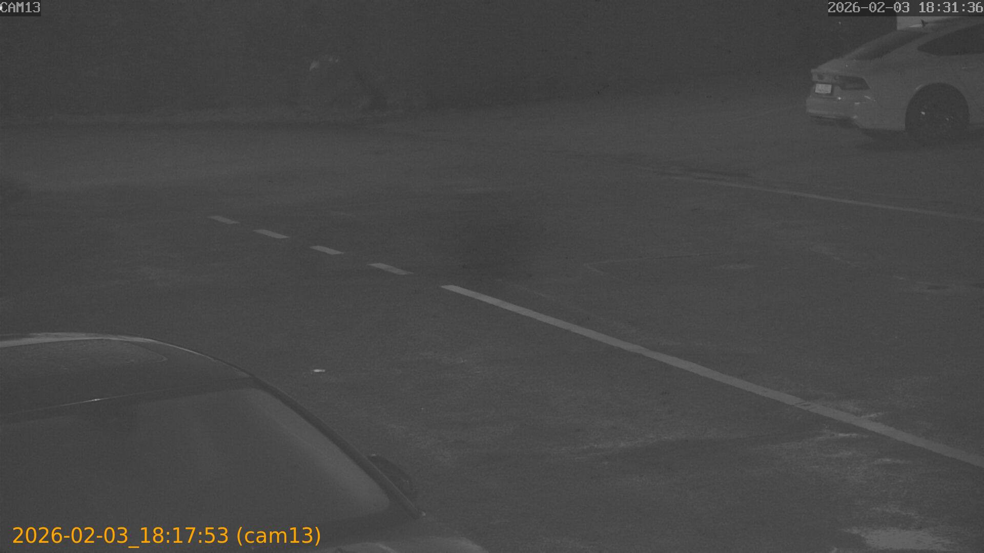 thumbnail_20260203181753