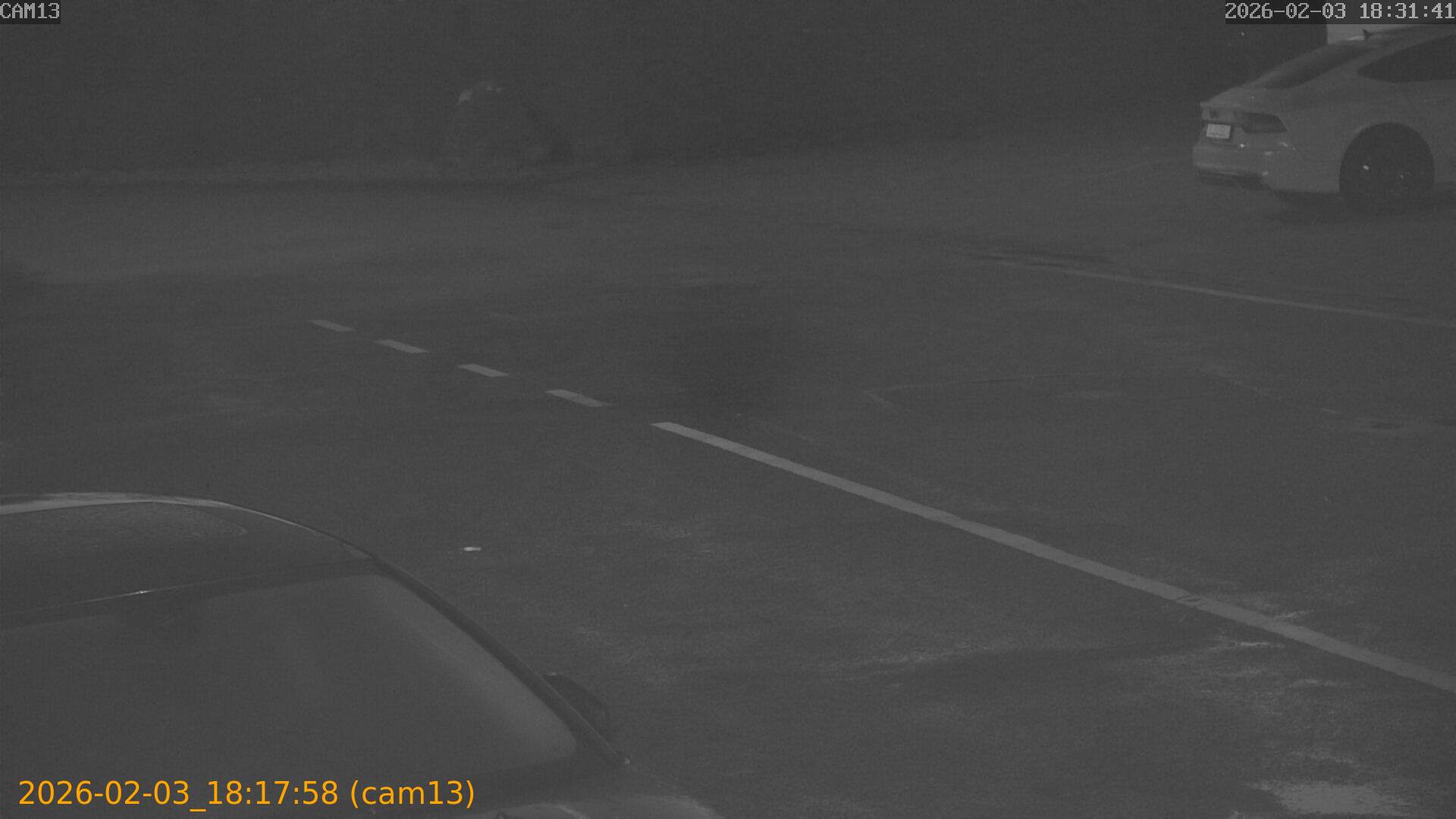 thumbnail_20260203181758