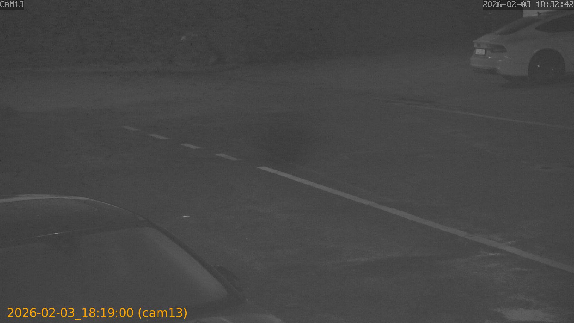 thumbnail_20260203181900